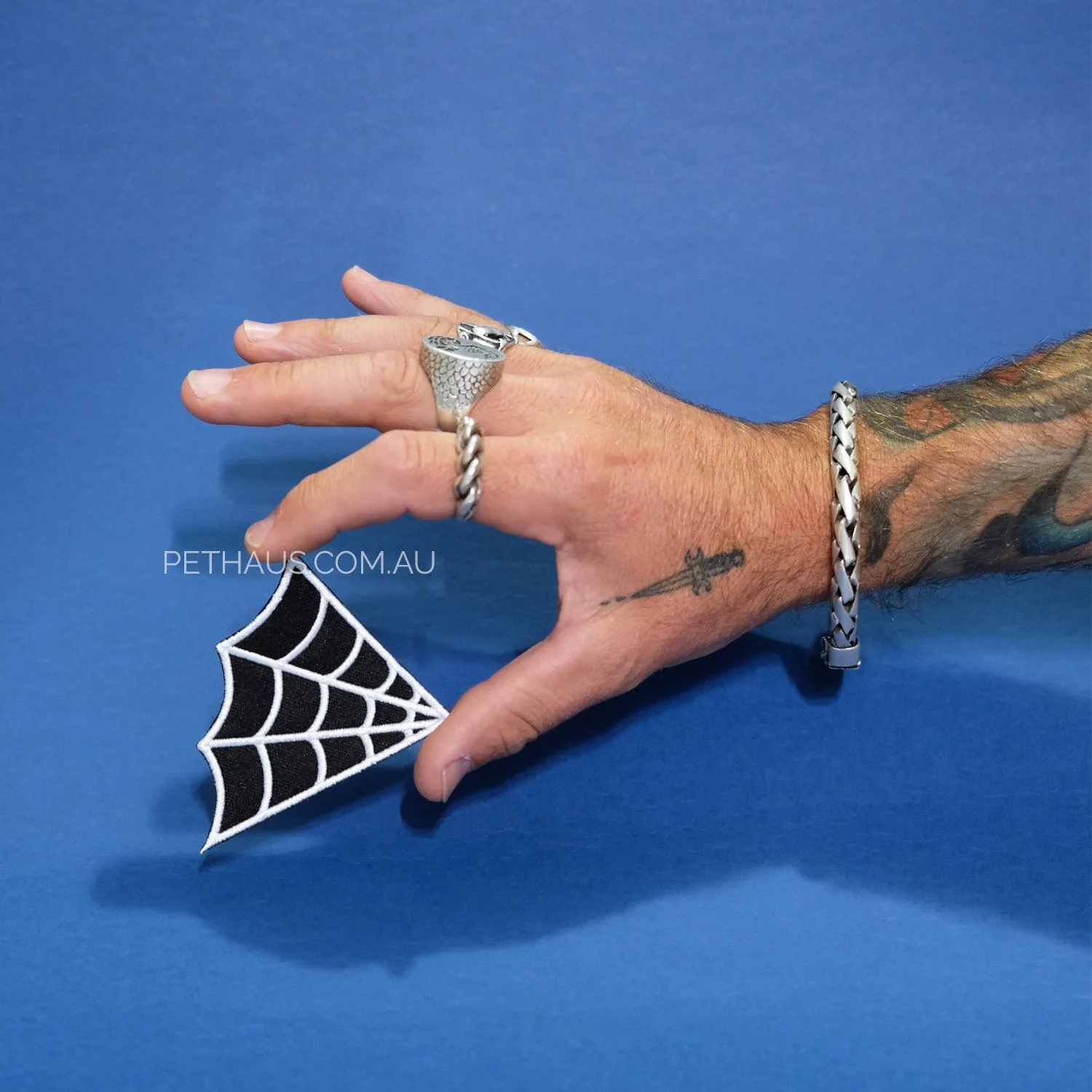 WEB OF DANGER